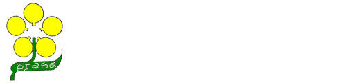 プラハ日本人学校